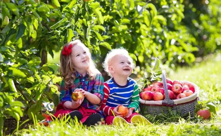 Чим корисні яблука для здоров’я дитини
