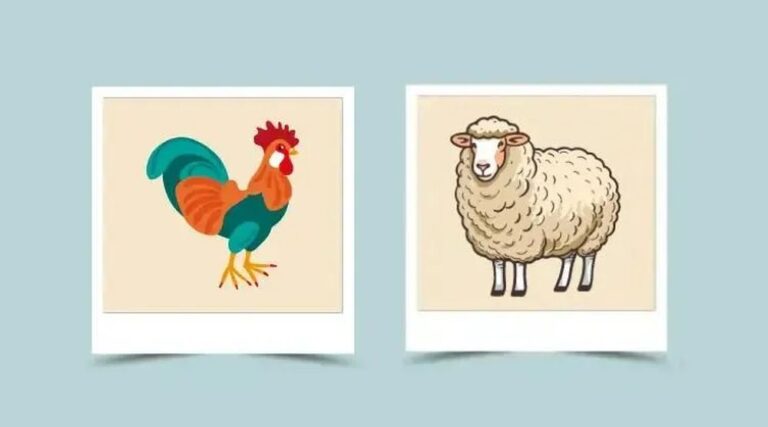 Коза (Вівця) і Півень: сумісність у стосунках за східним гороскопом