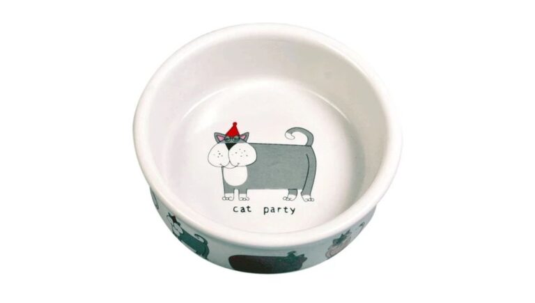 Чому посуд для кота — це більше, ніж аксесуар